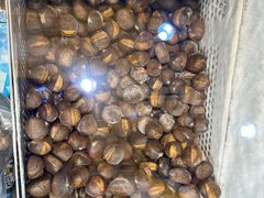 -粒上皇(新闻路店)