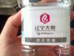 android_upload_pic-辽宁大厦