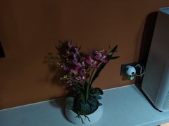 -霖公馆SPA·足道(普善路店)