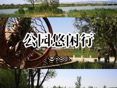 -绿堤公园