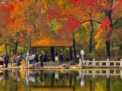 -西山人家·传统苏帮菜·家宴(木渎店)