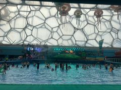 -水立方嬉水乐园