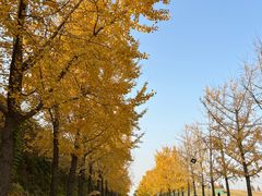 -南京眼步行桥