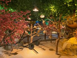 -酷嗒动物文化乐园(cutezoo西溪乐天城店)