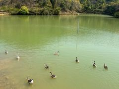 -广州白江湖森林公园