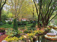 -上海共青森林公园