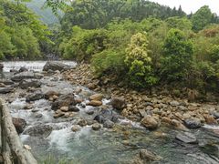 -石台牯牛降景区