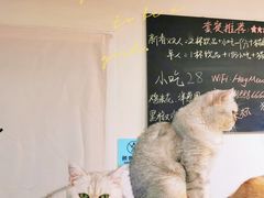 -Heymao猫咖.咖啡厅(东门店)