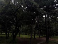 -北陵公园