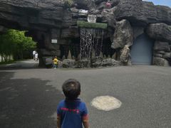 -自然谷恐龙园