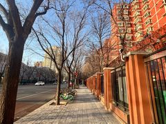 -北京邮电大学