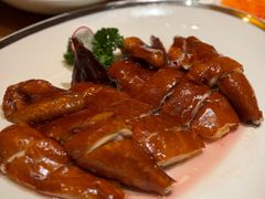 -广州富力君悦大酒店空中花园