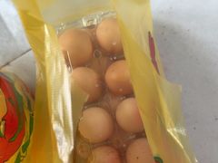 -马陆小张葡萄园农家乐