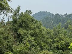 -青龙山国家森林公园