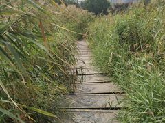 -西安汉城湖景区