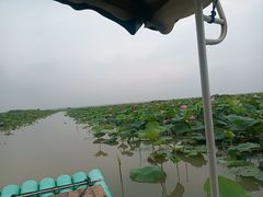 -焦岗湖旅游度假区