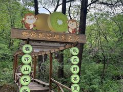 -大岭沟猕猴桃谷风景区