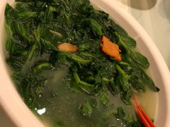 -颐东国宴大酒店