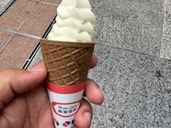 -富豪雪糕车流动点(尖沙咀)