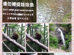 -东天目山风景区