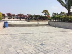 -上海都市菜园