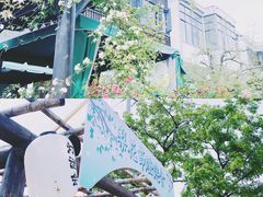 -树山生态村