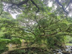 -广州市石门国家森林公园
