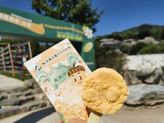 -北京西山国家森林公园