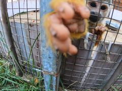 -北戴河集发农业梦想王国