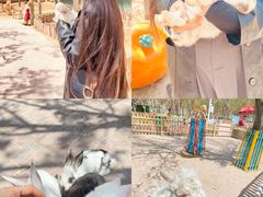 -水上乐园·欢乐世界