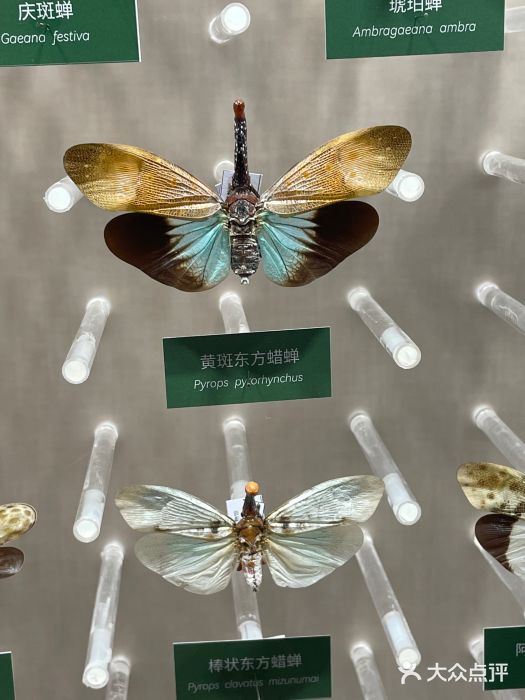 国家自然博物馆图片