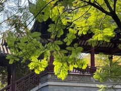 -龙潭水乡