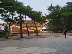 -长春市南湖公园