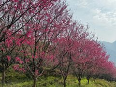 -福清灵石山国家森林公园