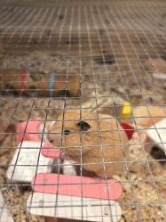 -酷嗒动物文化乐园(cutezoo西溪乐天城店)