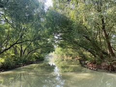 -大湾区中央湿地公园