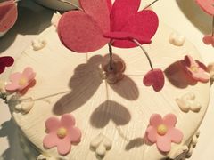 -维尔纳斯·生日蛋糕动物奶油冰淇淋蛋糕(人大店)