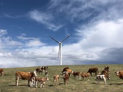 -塞罕坝国家级自然保护区