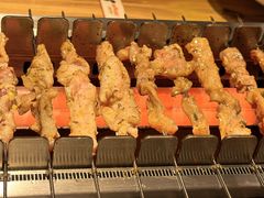 -邢氏老太太烤串(北兴街店)