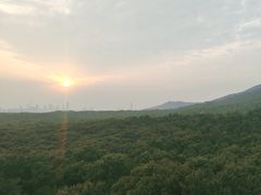 -灵谷景区