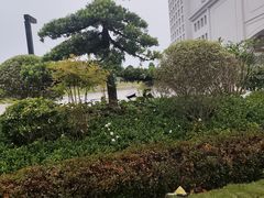 -上海交通大学（闵行校区）-李政道图书馆