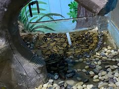 -石家庄市动物园