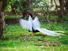 -福建鲤鱼洲酒店