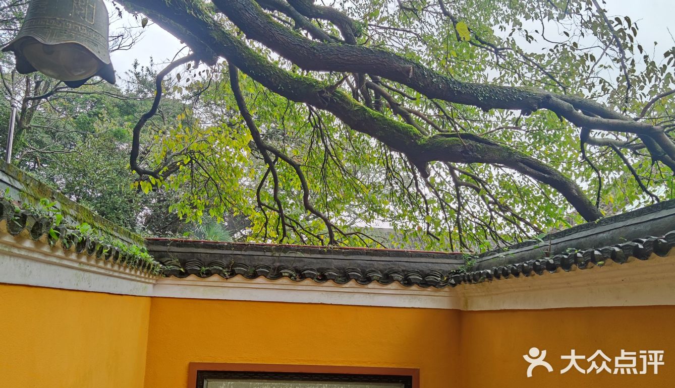 普济寺法雨寺慧济寺图片