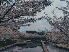 -诺贝尔湖公园