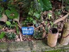 -竹泉农庄·竹筒饭(从化店)