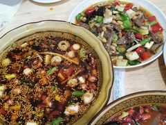 -老字号怡玺·藿香雅鱼(20年雅安店)