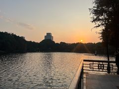 -荔湾湖公园