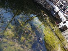 -黄花溪