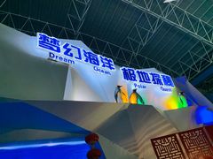 -泉城欧乐堡海洋极地世界